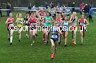 Women's under-17s and under-20s European Cross Country Trials, Sefton Park, Liverpool. Photo: David T. Hewitson/Sports for All Pics